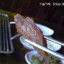 서래갈매기 이미지