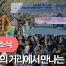 문화의거리 네이버블로그