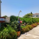 표선면-5 이미지