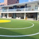 해피 애견 놀이방 이미지