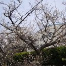 김해건설공업고등학교 이미지