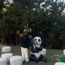 하단동1200 | [부산] Day2 (죽성드림세트장 - 죽성드림커피 - 송정해수욕장 - 을숙도 - 다대포밀면 - 아미산전망대...