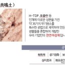 엘케이홀딩스 네이버블로그