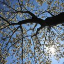 가현어린이공원 이미지