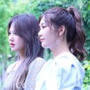 아샤트리 카카오 검색결과