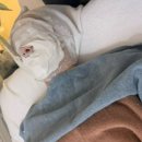 예손바디케어 이미지