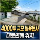 충청도 비육돈사매매 4000두 규모랍니다~(매물번호 3043) 이미지