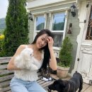 티파니&펫 이미지