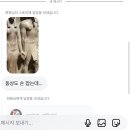 413샤브티