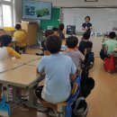 7월22일 해안초등학교 4-1 이미지