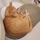 고영주택 이미지