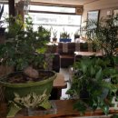 터미날다방 이미지