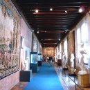 블루아라(I) 이미지