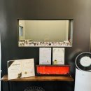 황금산 고양이 | 다산 황금산고양이 미용 후기