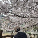 만성리 파출소 옆 이미지
