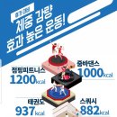 뻔뻔한점핑밸런스다이어트 이미지