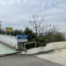 신월동226 이미지