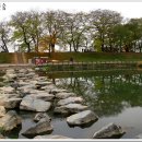 죽향(竹香)