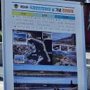 대한적십자사봉사회 고성군협의회 연안 환경 정화 활동 이미지