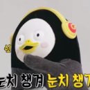 트레이더스 홀세일 클럽 송림점 이미지