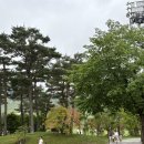 휘닉스중앙평창 | [평창숙소] 아기랑 함께 즐기기 좋은 평창 휘닉스파크 BBQ패키지 / 워터파크 / 스카이스탠다드 객실