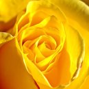 강남운전면허시험장 이미지