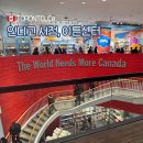 Dog Days | 토론토 CF 이튼센터 인디고 방문 후기, 소품 구경하기 좋은 다운타운 서점 쇼핑몰