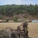 합천부동산공인중개사사무소 이미지