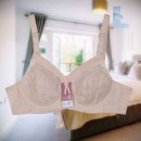 에스란제리 이미지