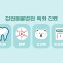 정원동물병원 이미지