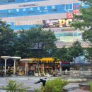화진롯데대구율하지점 | 대구 율하 스시 맛집 미카도스시 회전초밥 2100원 내돈내산 메뉴 추천