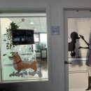 아크 플래닛 이미지