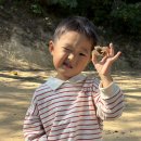 🍂 빙글빙글 도토리 팽이 놀이 🌰 이미지