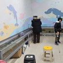 랜드피시 이미지