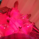 청학한의원 이미지