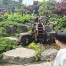 아침에꽃 | 경기도 갈만한곳 추천<아침고요수목원>다녀온 후기/아이랑 꽃구경 갈만한곳