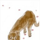 도꾸네 이미지
