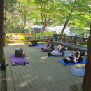 싱잉볼 힐링요가 B 이미지