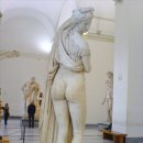 생명예찬1 이미지