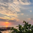 알찬약국 이미지