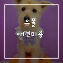 유폴 평택지제역점 네이버블로그