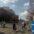 수아민박 이미지