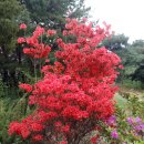 유성궁도장 이미지