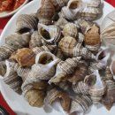 시장(채소전) | 대구 도원시장 맛집 동일분식 포차 후기｜칼국수·육전·소라, 가성비 좋은 동네포차