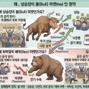Bull or Bear 마겟 단어의 유래 이미지