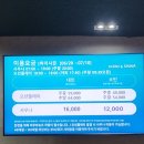 삼척쏠비치 워터파크 완전정복 후기 | 삼척해변까지 이어지는 여름 필수코스🫶