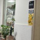 [ꕤ*.° Daily-13] 부평구청역 꽃집 플라워물들이다 후기