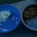 큰골낚시터 | 곤지암 장호원 큰골낚시터 여행후기 - 첫번째