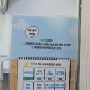 신촌애견미용실 | 신촌역 레이어드컷 잘하는곳 데몬헤어 신촌점 동한쌤 프리미엄 딥 스켈링