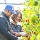 신진섭농장 이미지